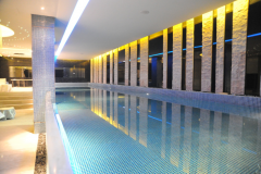 如何降低酒店游泳池维护成本？