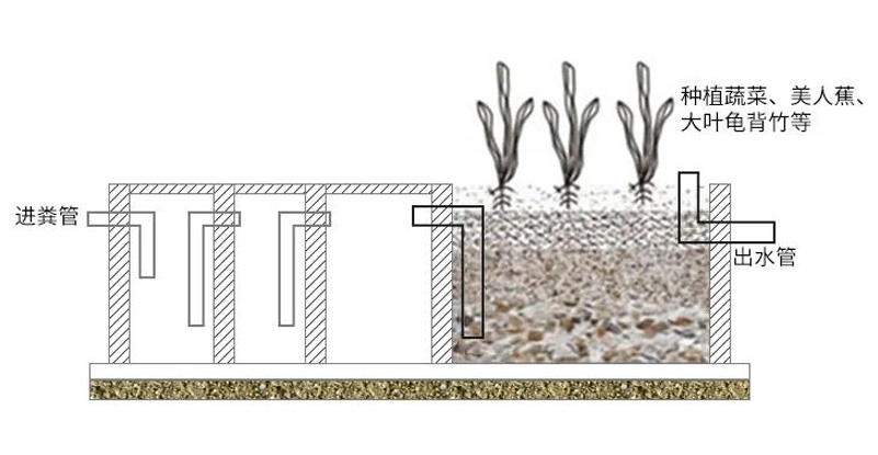 三格化粪池+人工湿地处理模式