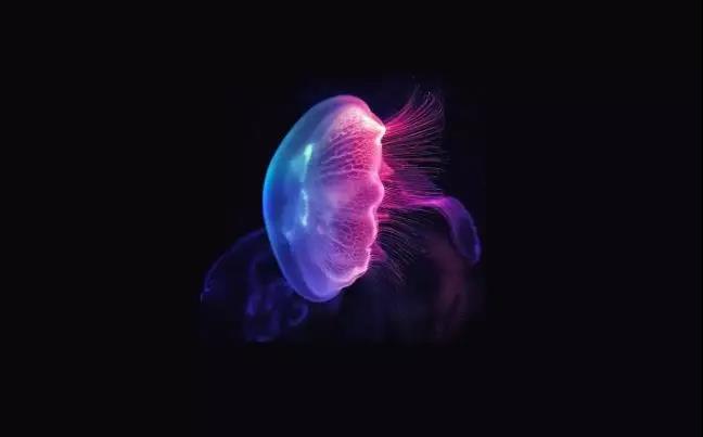 海洋馆，海洋馆设计，海洋馆水处理，海洋馆工程