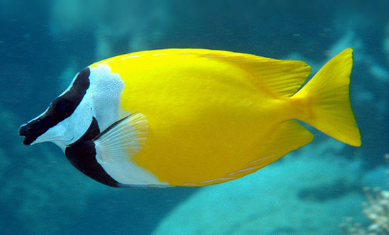 水族馆，水族馆设备，水族馆维生系统，海洋馆循环水处理系统