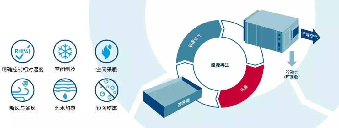 室内游泳场馆的安全设计，室内泳池，室内游泳场馆