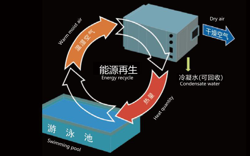 游泳池设计方案