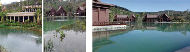 人工景观湖水处理方法
