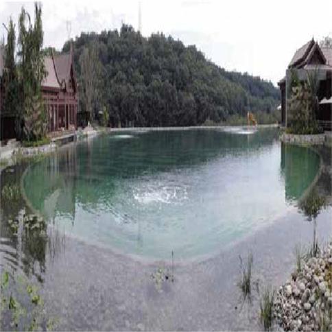 人工景观湖水处理