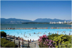 低氯泳池水处理系统，让你免受氯伤害，畅享清凉一夏！
