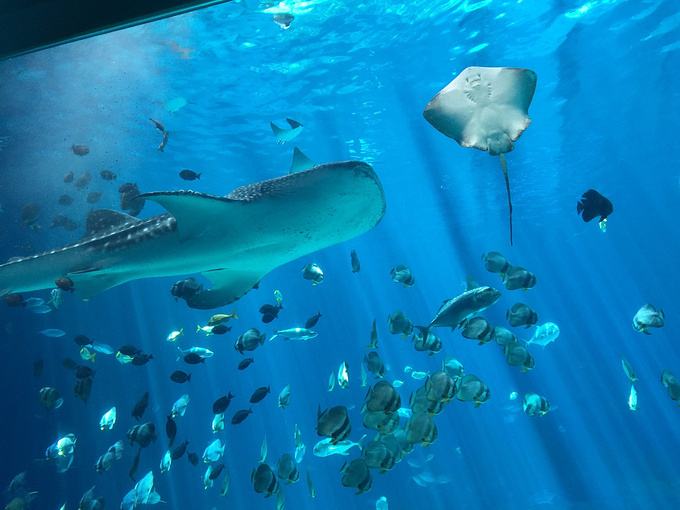 水族馆,水族馆滤料