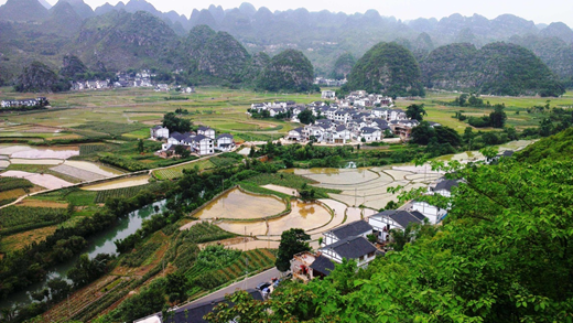 探索农村污水处理实用技术：环保之道在哪里？