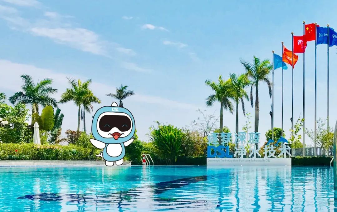 豪华别墅游泳池,别墅游泳池建造公司哪家好,建别墅游泳池公司,别墅游泳池厂家